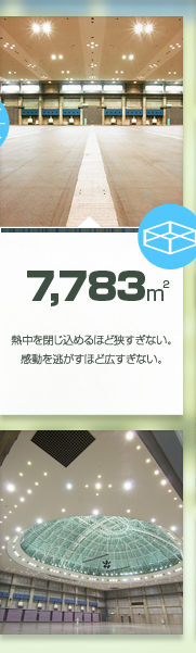 7,783㎡ 熱中を閉じ込めるほど狭すぎない